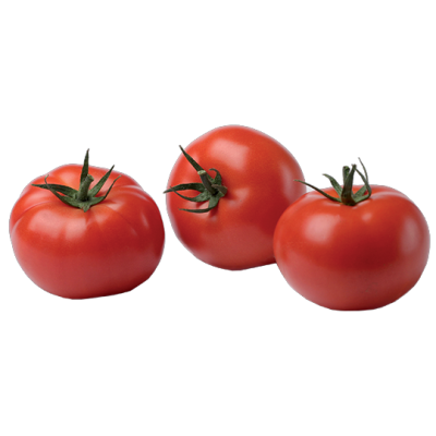 Tomates rondes - fruits et légumes bio
