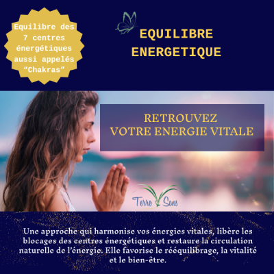 Séance Equilibre énergétique