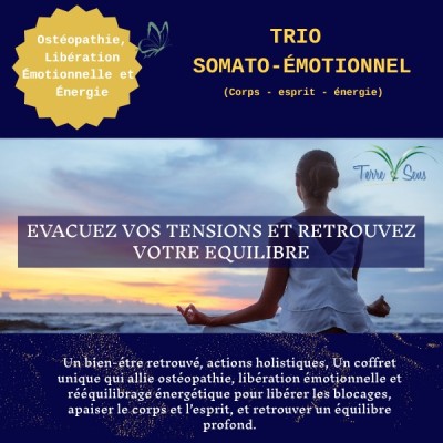 Tarif Séance Trio somato émotionnel